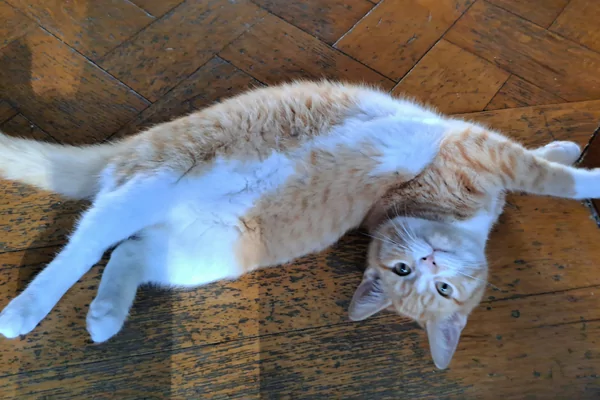 Cultivating inner strength: How to feel safer in an uncertain world