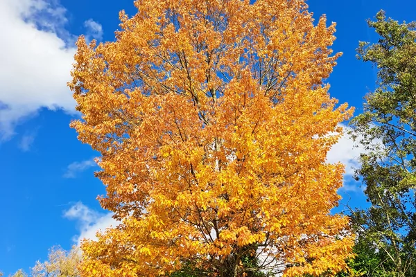 Four steps to prioritize self-care in busy times