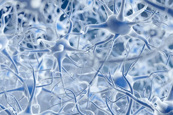 What if ... a year in review