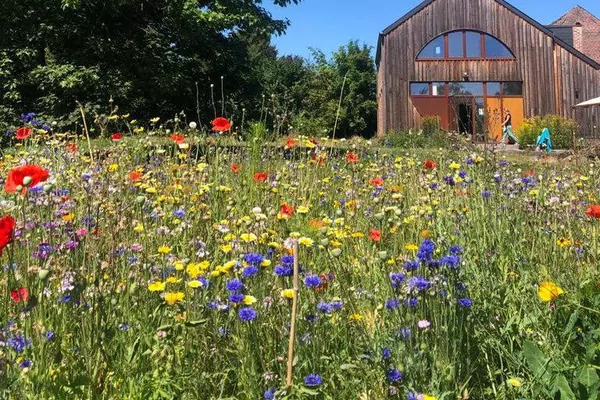 Deep rest: a four day summer mindfulness retreat